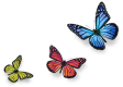 three butterflies